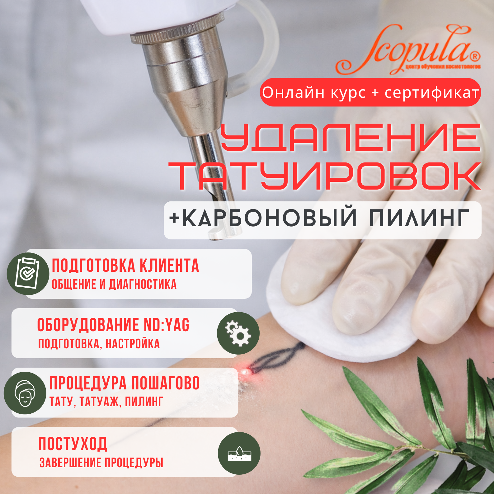 Удаление татуировок, татуажа, карбоновый пилинг: онлайн-курс с сертификатом. Теория и практика