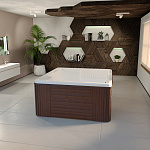 Гидромассажный бассейн Цезарь Platinum (фото)